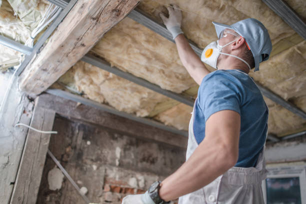 Types of Insulation We Offer in Portland, TX