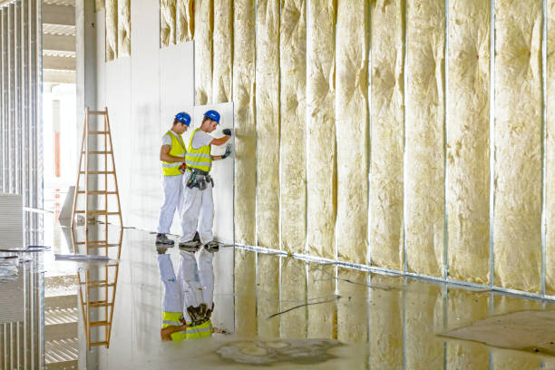 Best Eco-Friendly Insulation in Portland, TX